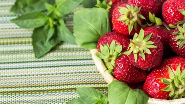 Reife süße Erdbeeren im Weidenkorb und Minzblätter auf Holzhintergrund