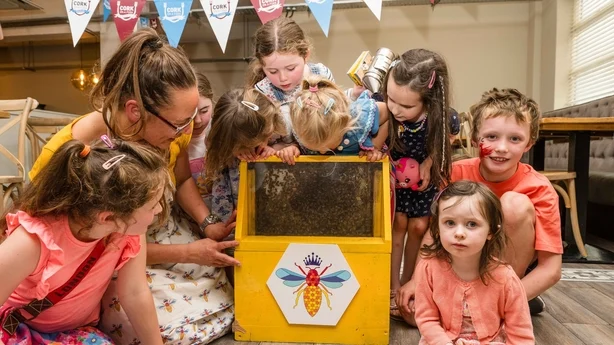 Kinder genießen einen Bienennachmittag mit Hanna Backmo von Hanna's Bee 